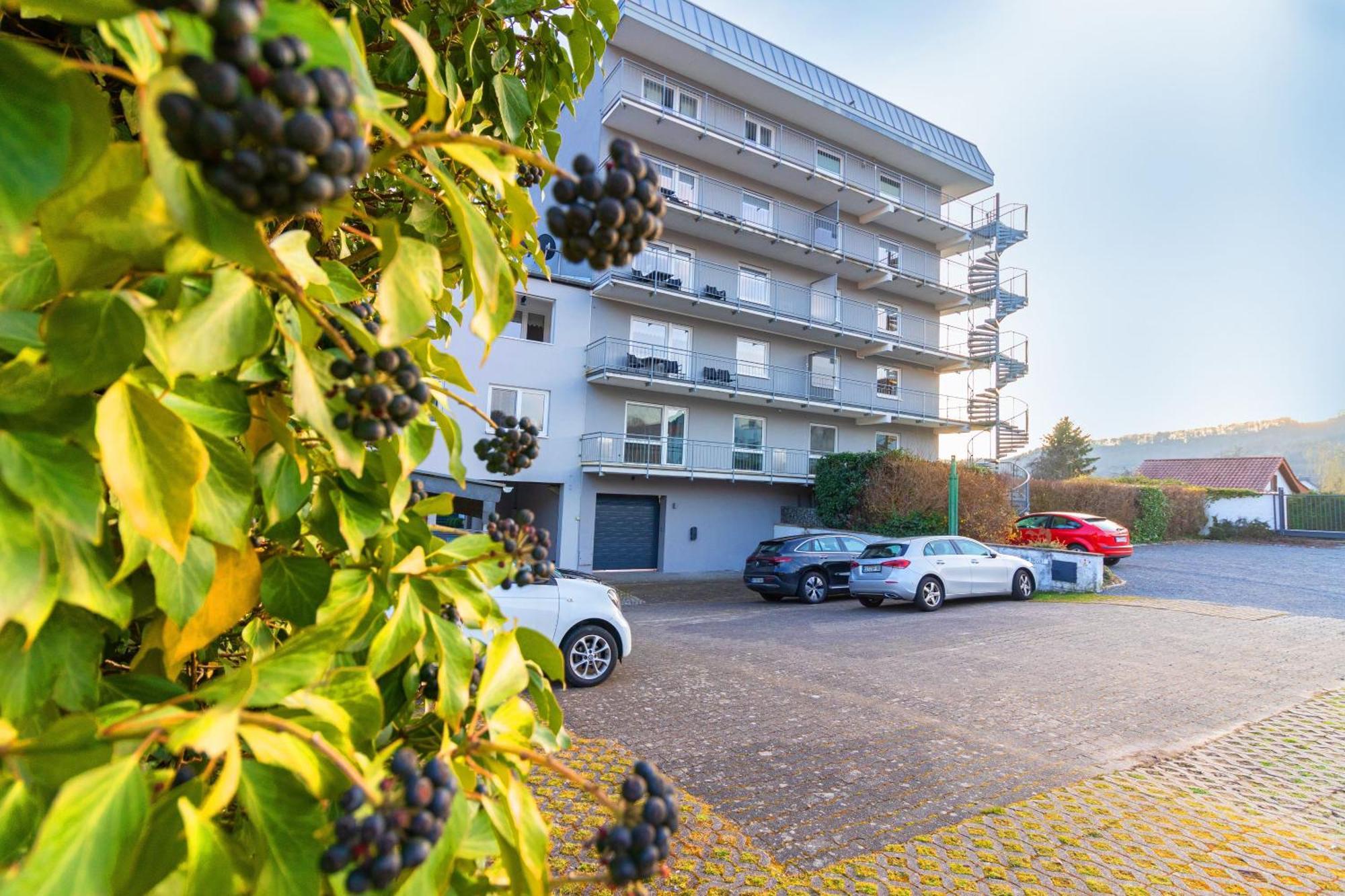 Fabryshof Im Felsenland Suedeifel Und Mullerthal Apartment Bollendorf